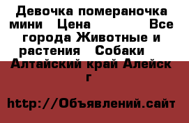 Девочка помераночка мини › Цена ­ 50 000 - Все города Животные и растения » Собаки   . Алтайский край,Алейск г.